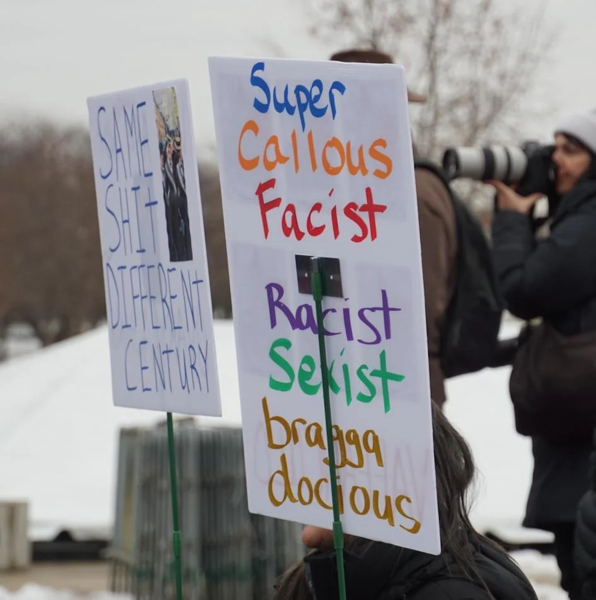 The peoples march, source: https://www.reddit.com/r/pics/comments/1i96iwy/comment/m902r4e/